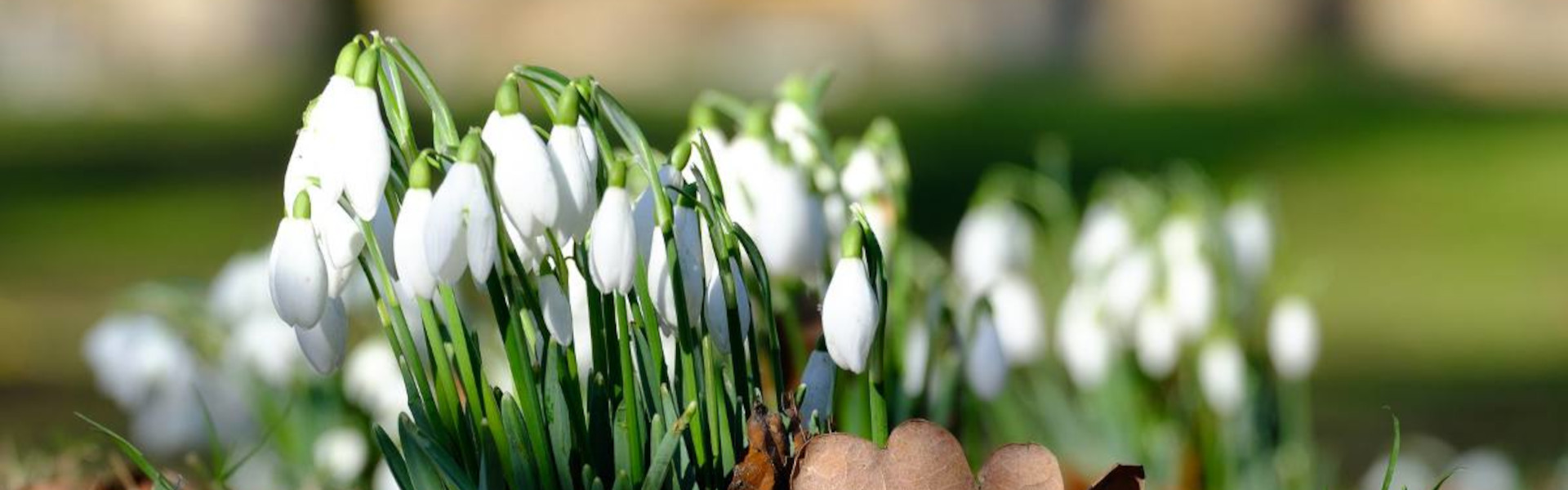 images/slides/winter/jardinage-hiver-1920x600.jpg